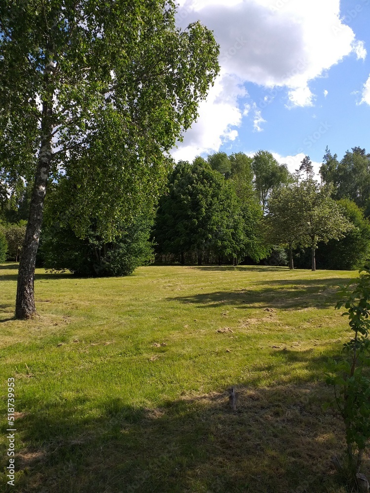 Summer landscape with green trees and blue sky