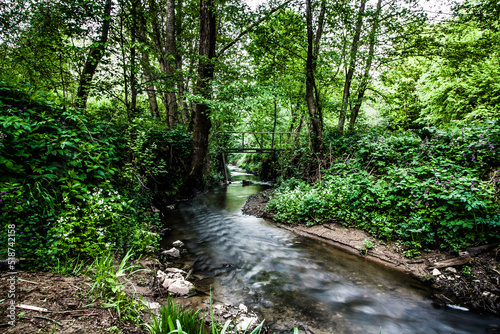 Forest stream. creek flowing through the woods. Course of small brook through the forest
