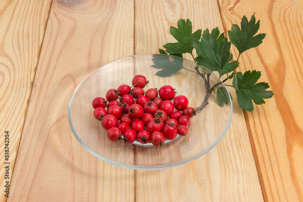 Fruits of hawthorn on saucer and twig on rustic table Fruits of hawthorn on saucer and twig on rustic table