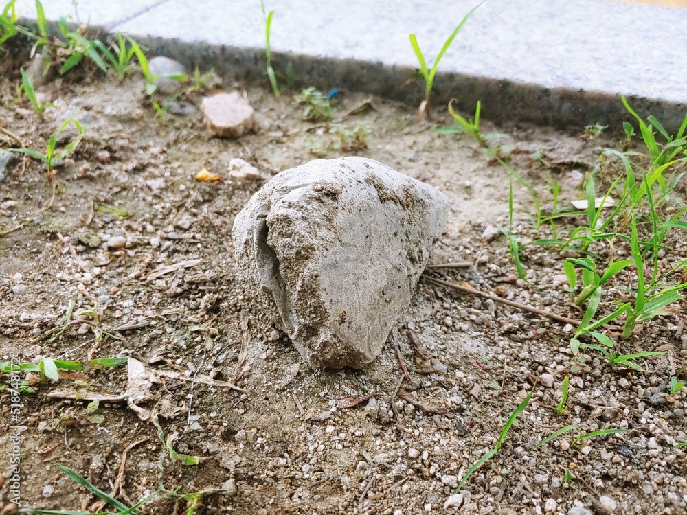 Obraz premium Rocks on the road