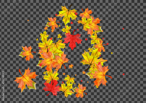 Colorful Leaf Background Transparent Vector. Floral September Frame. Red Seasonal Leaves. Pattern Foliage Card.