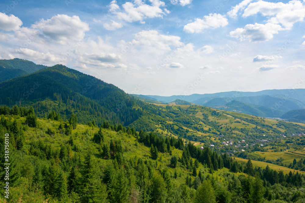mountainous rural landscape in summertime. wonderful countryside scenery of carpathians. forested hills and grassy meadows. blue sky with fluffy clouds on a sunny day
