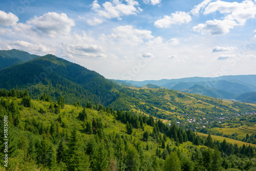 mountainous rural landscape in summertime. wonderful countryside scenery of carpathians. forested hills and grassy meadows. blue sky with fluffy clouds on a sunny day © Pellinni