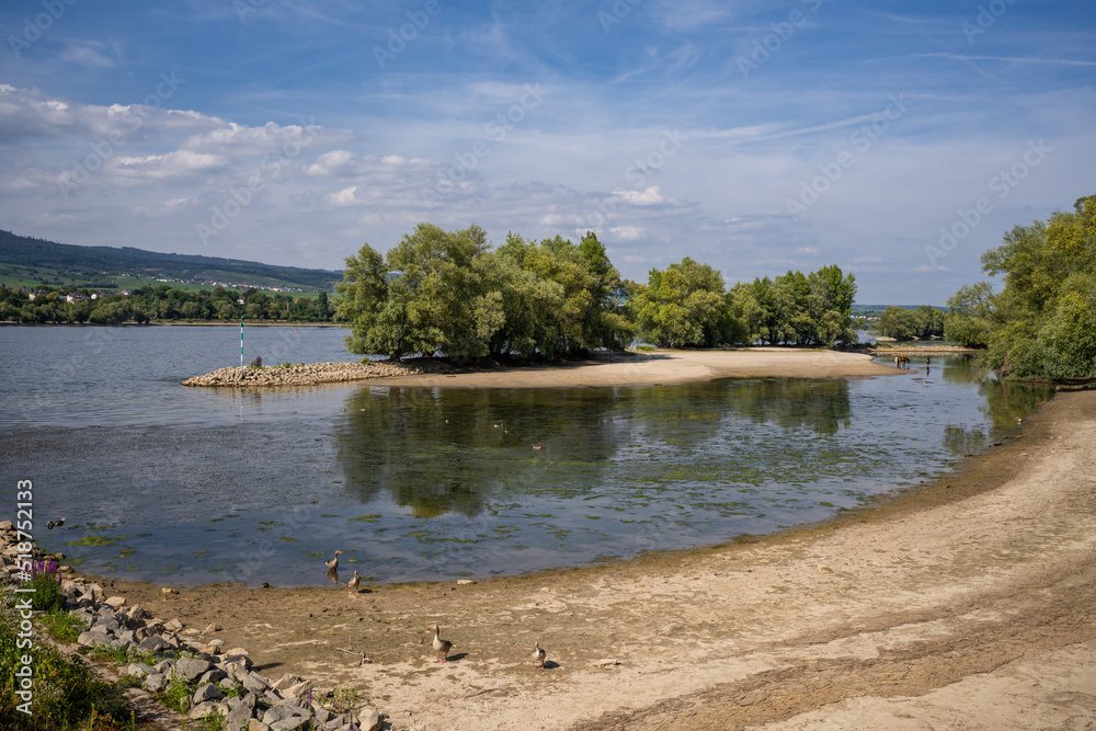 Fototapeta premium Sandbank bei Gau-Weinheim am Rhein