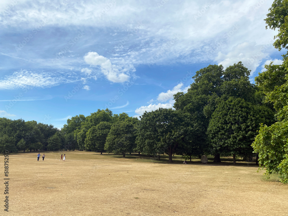 Landscape in Hyde Park in London. Green trees and yellow grass Landscape in Hyde Park in London. Green trees and yellow grass