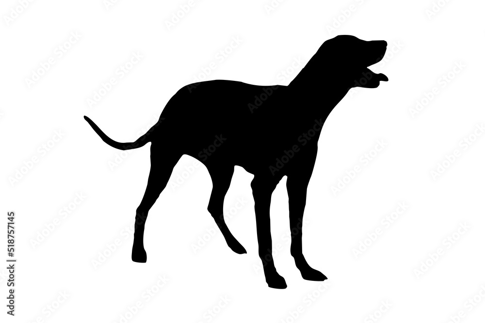 The silhouette of the Dalmatian's body, standing on the side