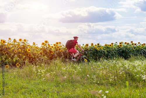 man cycling in summer. cyclist riding a bike in the countryside. sunflower field at the blue sky. view from the back