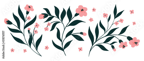 Hand drawn flowers branches in a set. Blooming twigs with small flowers, leaves isolated on white background. Rustic botanical decor. Vector illustration.