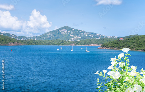 View at st. Thomas island, USVI photo
