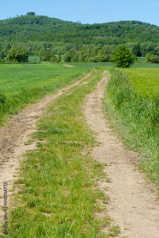 a dirt road, fields, in the background mountains covered with forest a dirt road, fields, in the background mountains covered with forest