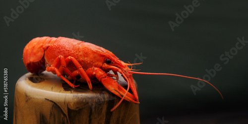Boiled crayfish on a stand from a thermos lid.