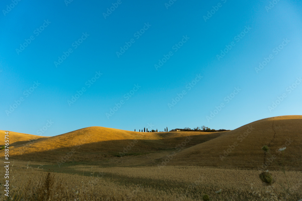 Colline toscane al tramonto con campi di grano e cielo limpido, Toscana, Italia