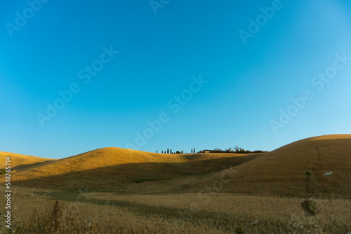 Colline toscane al tramonto con campi di grano e cielo limpido, Toscana, Italia