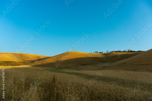 Colline toscane con campi di grano e cielo blu al tramonto