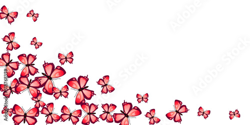 Fototapeta Naklejka Na Ścianę i Meble -  Fairy red butterflies abstract vector illustration. Summer vivid moths. Simple butterflies abstract fantasy wallpaper. Gentle wings insects patten. Garden creatures.