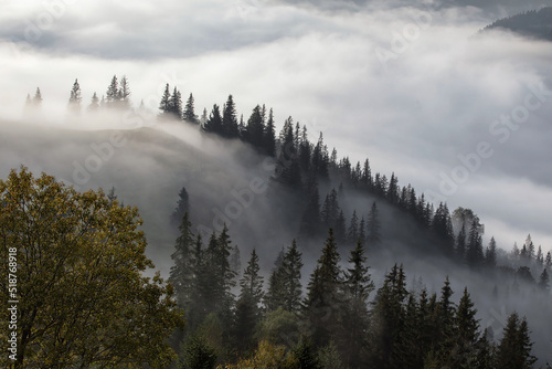 Panoramic view of the Carpathian mountains in the fog in the early morning © sweethelen