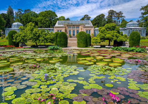 Water lily pond Wilhelma Zoological-Botanical Garden, Wilhelma, Stuttgart, Baden-Württemberg, Germany, Europe