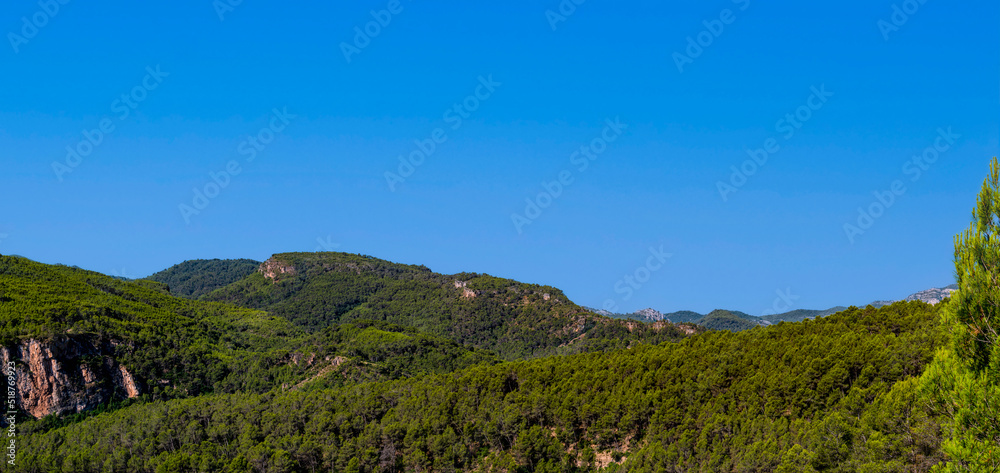 Obraz premium Beautiful panoramic view of wild countryside in summer