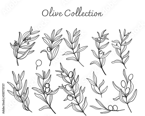 set of olive hand drawn collection