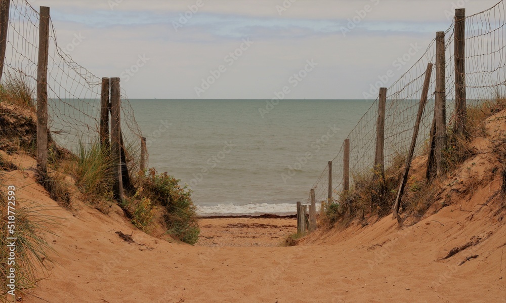 path between dunes leading to the beach 