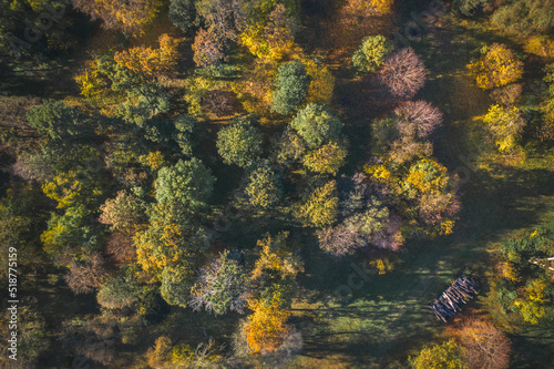aerial photo of autumn forrest