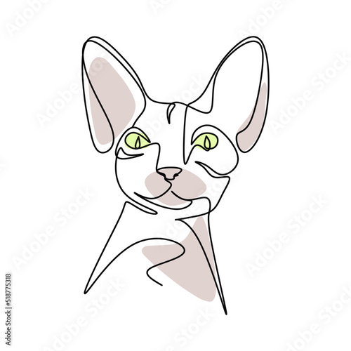 cat with a smile