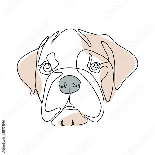 Vector illustration of english bulldog portrait