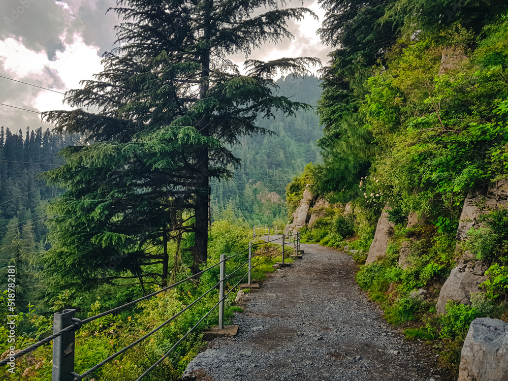 Foto de Pipeline Track; Ayubia National Park, Dunga Gali, is one of the