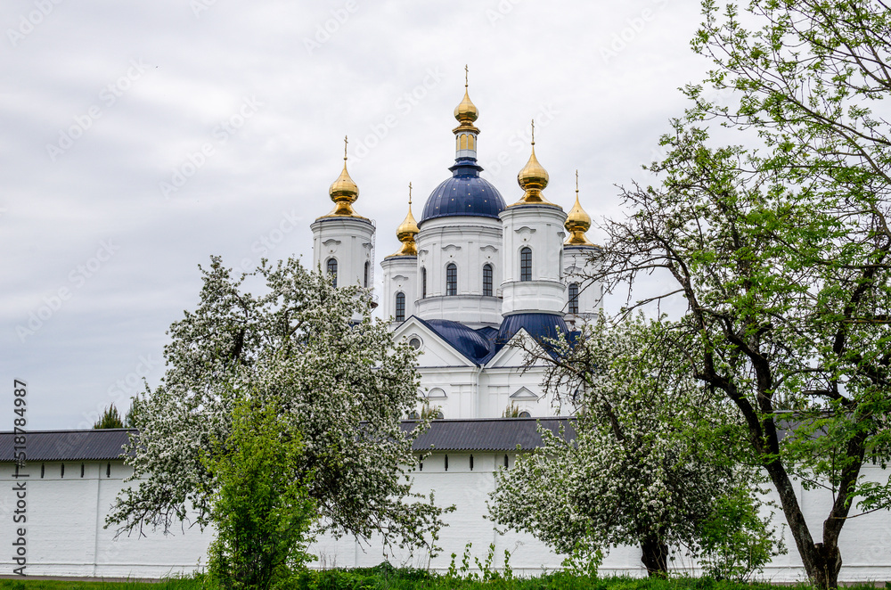 View of the Assumption Cathedral of the ancient Russian Svensky Monastery