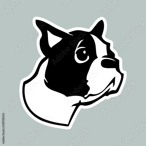 Small boston terrier as sticker for web design or design accessories. Little cute puppy as sticker for design websites, clothes, logo, icons, signs, applications or social network communication. 