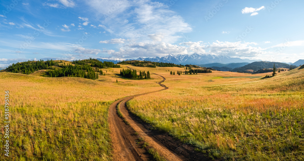 Trail through the mountains. Hiking up the mountain trail. A bright atmospheric minimalist Alpine landscape with a rocky path among the grasses in the highlands. The way up the mountainside.