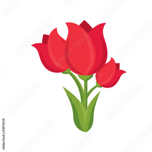 Tulip Design Very Cool