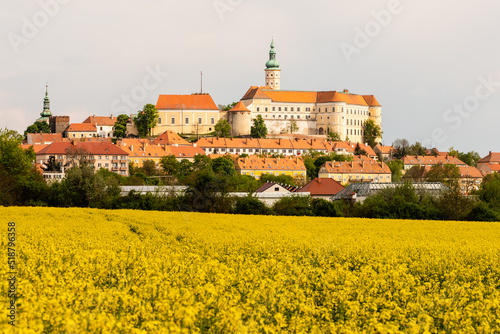 Beautiful medieval town Mikulov at distance over the yellow blooming rapeseed fields. Bright yellow canola fields surrounds medieval city in hill in Czech Republic, Europe.