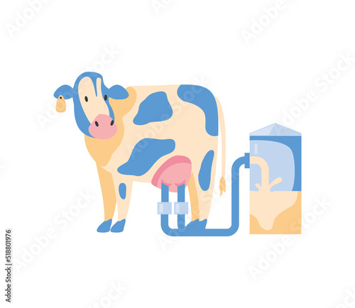 cows and automatic milking