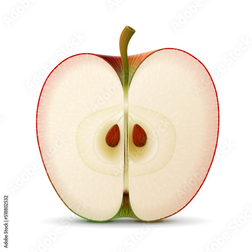 Apple fruit slice close up. Section of apple with seeds isolated on white background. Vector illustration about apple, agriculture, fruits, cooking, gastronomy, etc