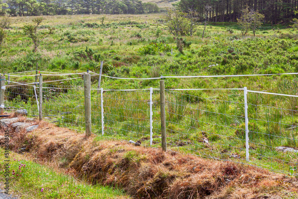 A grassy area of the field is fenced with electric shepherd wire