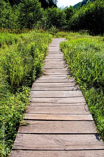 empty wooden pathway in the forest wooden footbridge in the garden