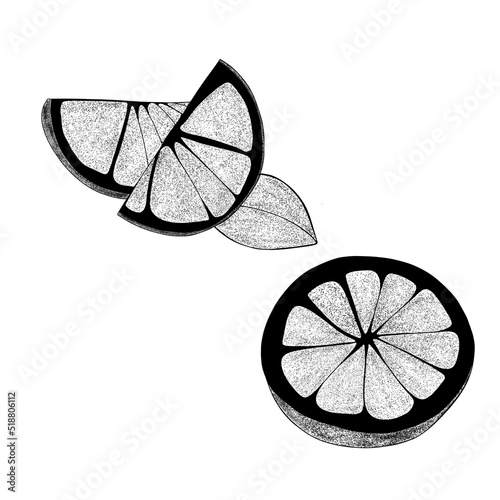 Set Hand drawn two lemon slices and a leaf. Citrus organic slice illustration...