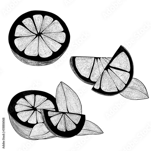 Set Hand drawn lemons with leaves: lemon wedges, half a lemon. Citrus organic...