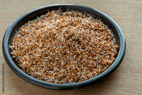 Horse gram sprouts pile on a tray plate. Healthy protein-rich vegan food.