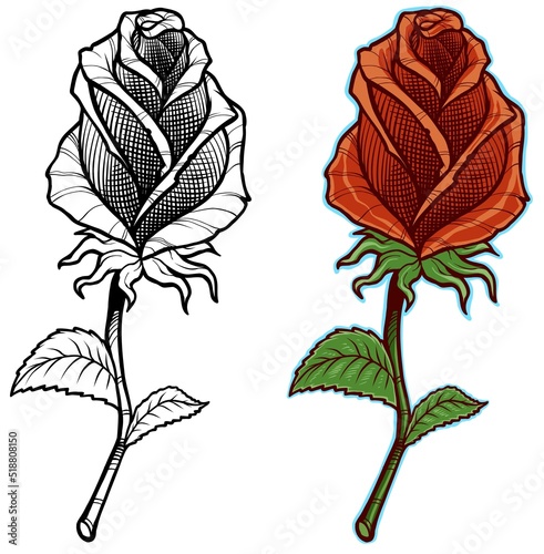 Graphic detailed cartoon red rose flower with stem and leaves. Isolated on white background. Vector icon.