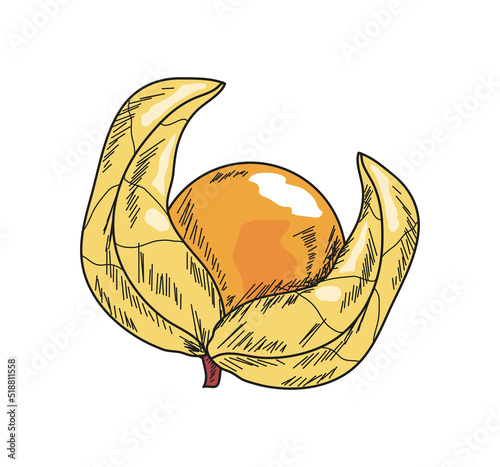 cape gooseberries superfood