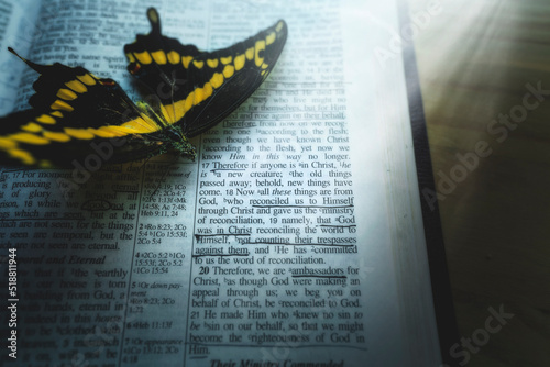 Monarch Butterfly On Open Bible New Life Transformation Concept