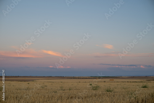 Fototapeta Naklejka Na Ścianę i Meble -  Summer landscape in the countryside