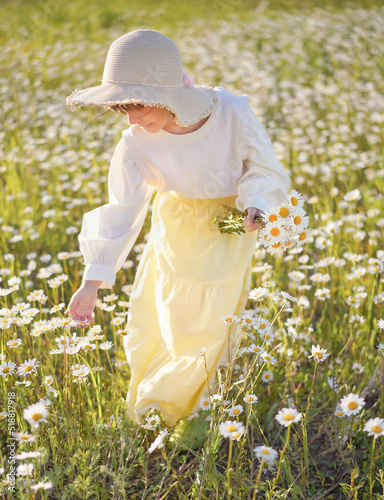 little girl with a bouquet of daisies picking flowers on a sunny flowers meadow
