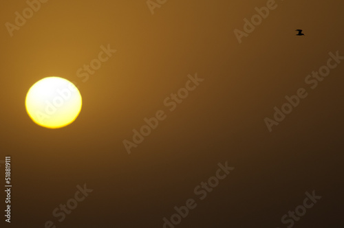 Sunset in the Natural Reserve of Popenguine. Thies. Senegal. photo