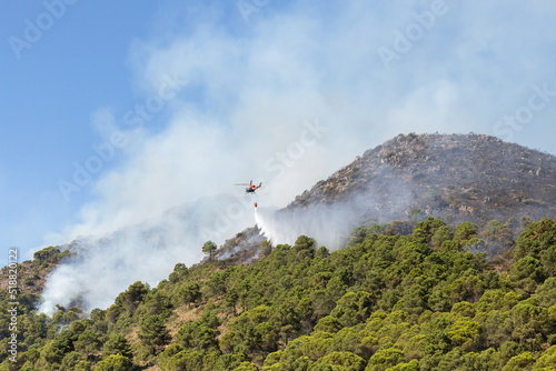 Helicopter dropping water cascade over pine forest. Fire in the Sierra de Mijas in the province of Malaga, Spain. July 2022