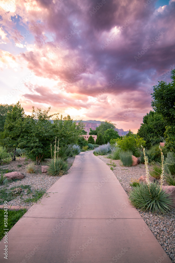 pathway in the park during sunset