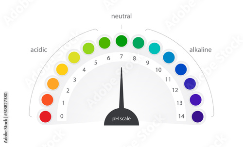 pH scale vector indicator chart diagram acidic alkaline measure isolated on white background illustration. Infographic acid-base balance 10 eps