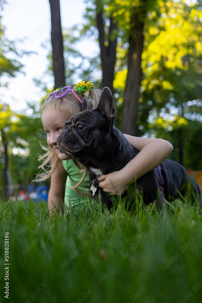a little girl hid behind a french bulldog, she hugged him and together they look good to the side a little girl hid behind a french bulldog, she hugged him and together they look good to the side